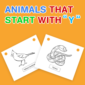 animals-that-start-with-y animals-that-start-with-y