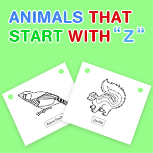 animals-that-start-with-z animals-that-start-with-z