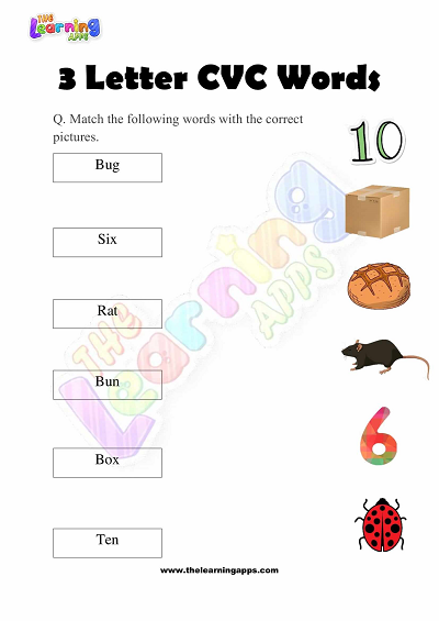 3-Letter-CVC-Words-Worksheets-for-Kindergarten-Activity-8