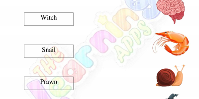 5-Letter-CVC-Words-Worksheets-for-Preshool-Activity-6 5-Letter-CVC-Words-Worksheets-for-Preshool-Activity-6