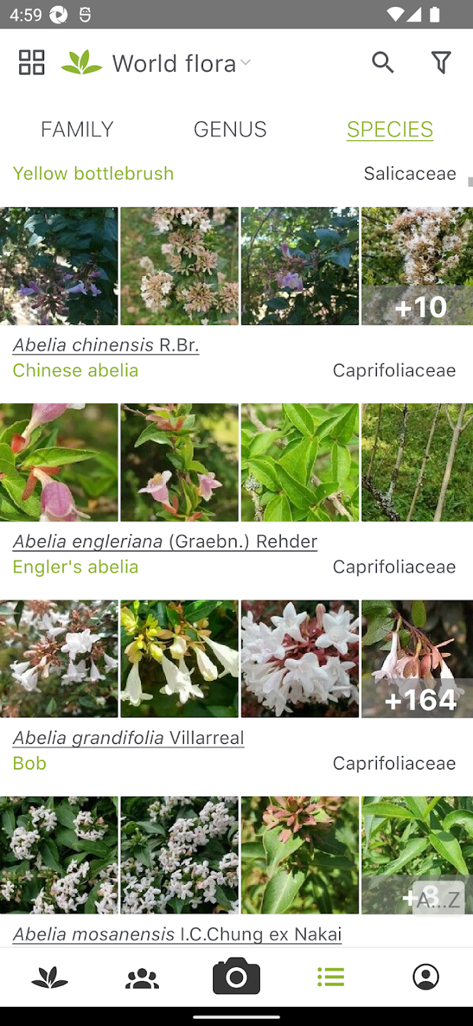 Plant identifier App
