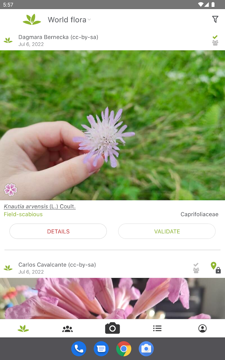 Приложение PlantNet