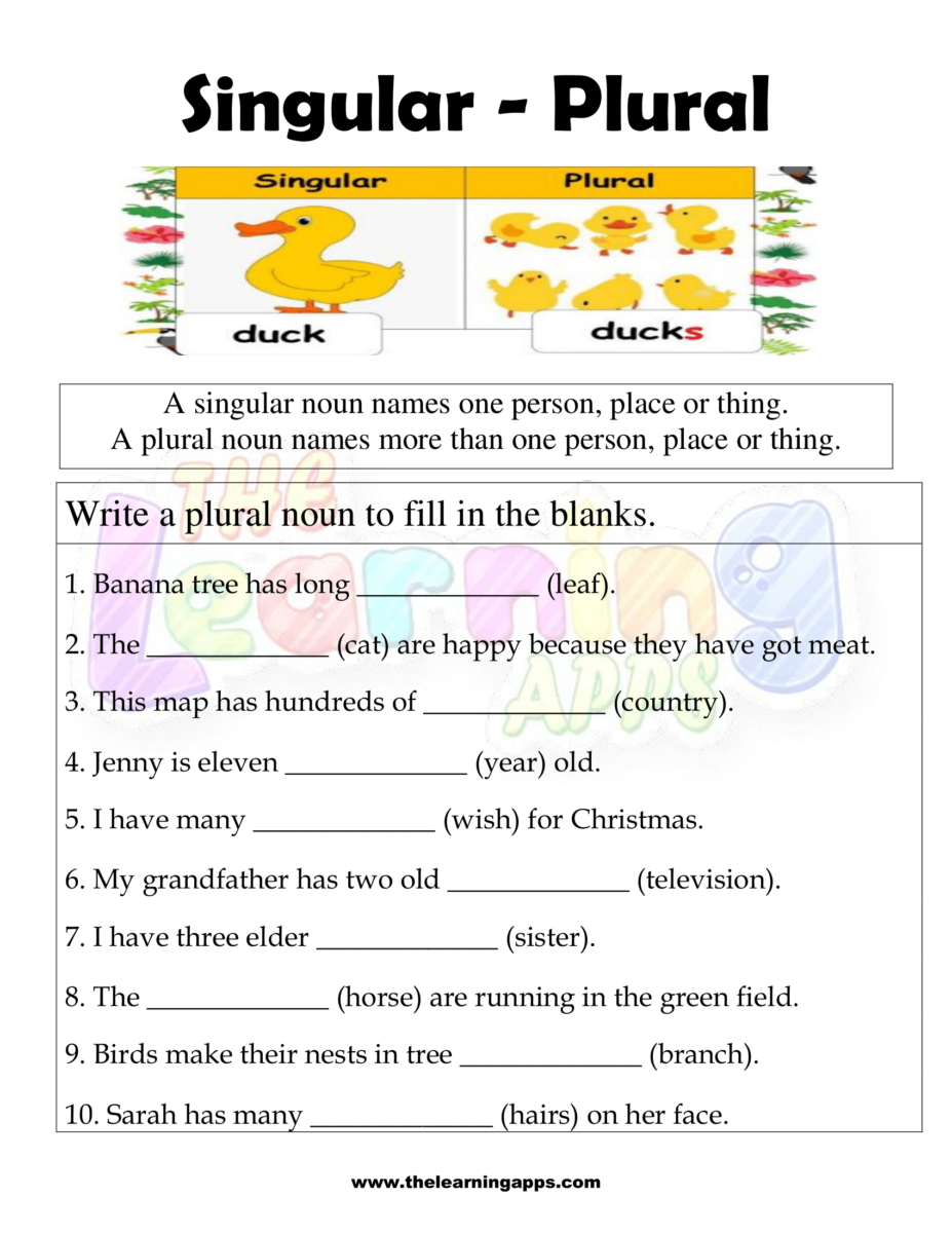 Singular And Plural Nouns Esl Worksheets