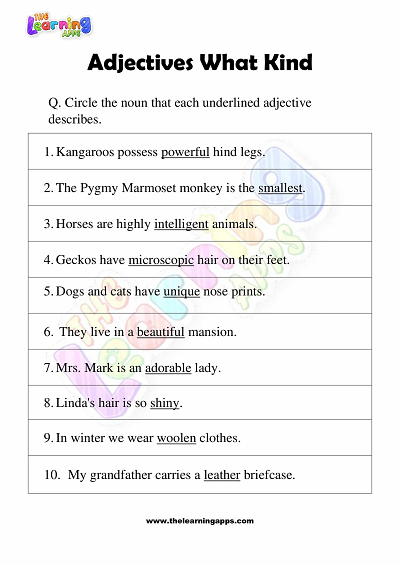 Adjectives of What Kind Worksheets for Grade 3 – Activity 4