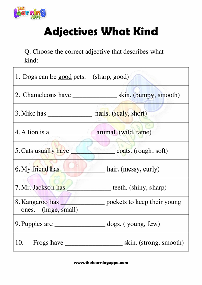 Adjectives of What Kind Worksheets for Grade 3 – Activity 5