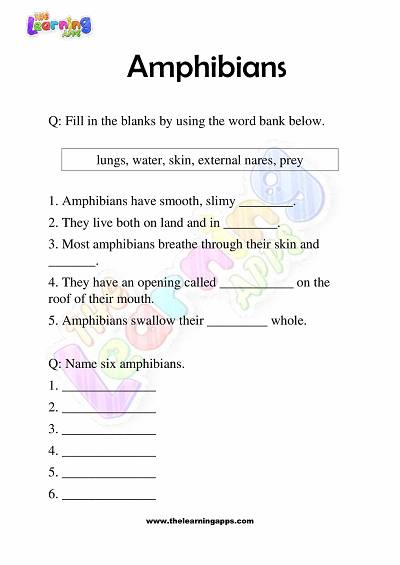 Amphibians Worksheets for Grade 3 – Activity 1