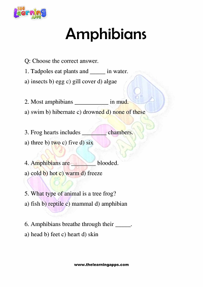 Amphibians Worksheets for Grade 3 – Activity 2
