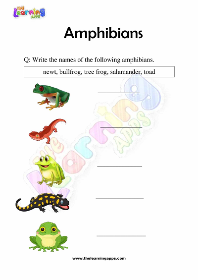 Amphibians Worksheets for Grade 3 – Activity 4