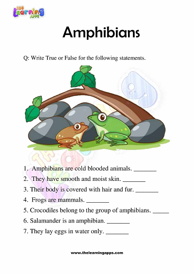 Amphibians Worksheets for Grade 3 – Activity 5