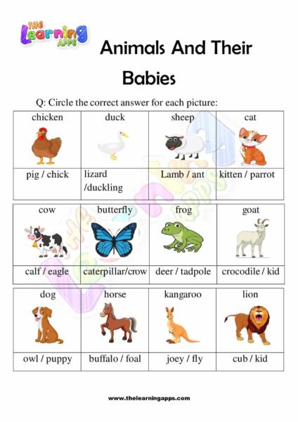 Animal y sus bebés 04