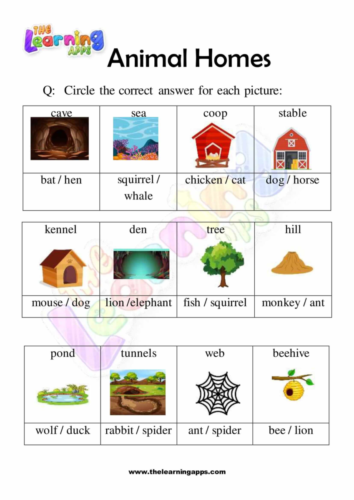 Animal homes worksheets - The Learning Apps