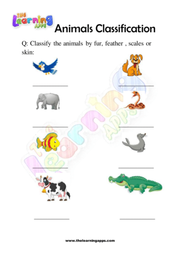 تصنيف الحيوانات 02