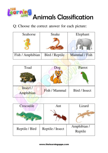 Classificació d'animals 05