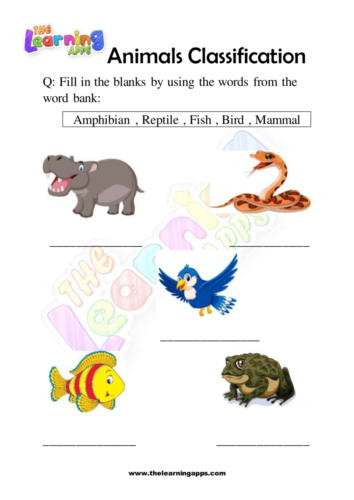 Classificació d'animals 10
