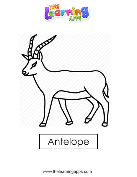Antilope 01