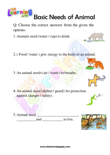 Basic Needs of Animal 10