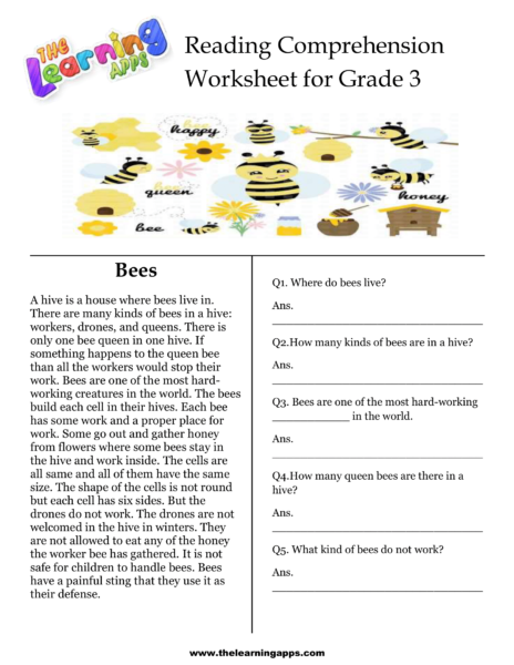 Bees Comprehension Worksheet