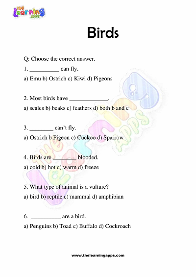 Birds-Worksheets-Grade-3-Activity-3