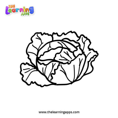 cabbage-coloring-worksheet