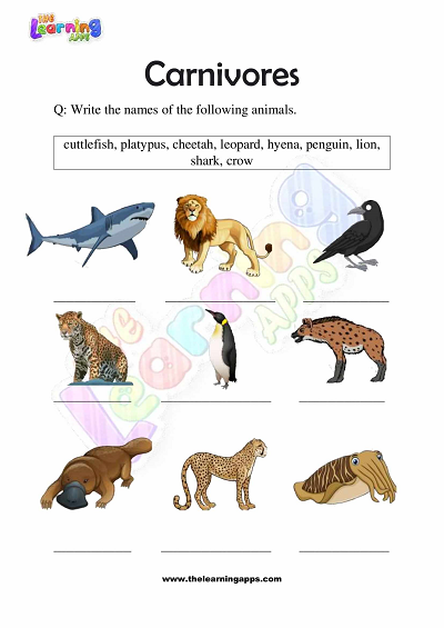 Carnivores Worksheets for Grade 3 – Activity 2