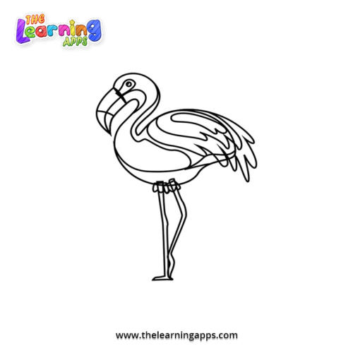 Flamingo Coloring Worksheet