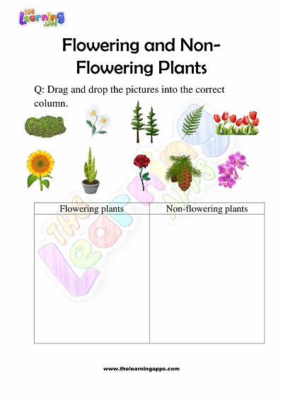 Flowering and Non Flowering Plants Worksheets for Grade 3 - Activity 1