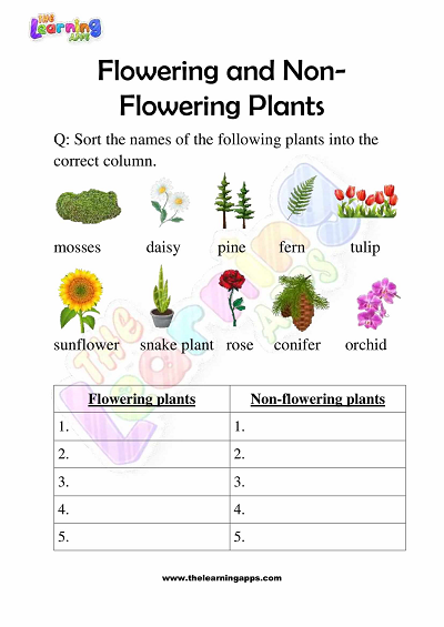 Flowering and Non Flowering Plants Worksheets for Grade 3 - Activity 10
