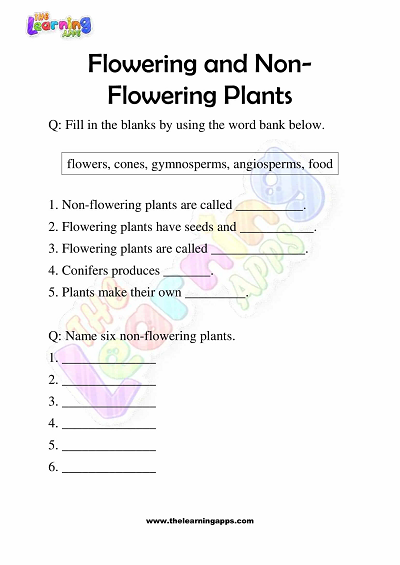 Flowering and Non Flowering Plants Worksheets for Grade 3 - Activity 8