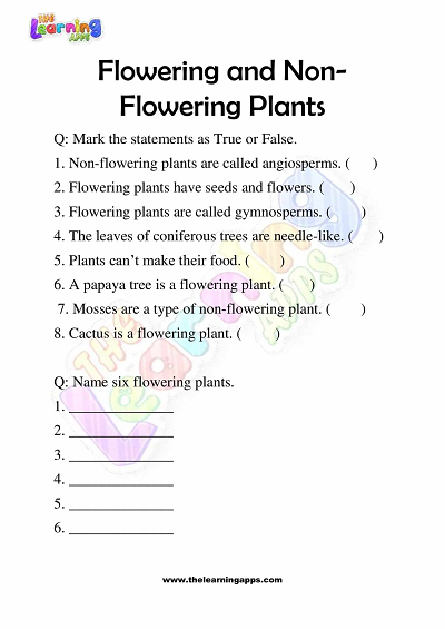 Flowering and Non Flowering Plants Worksheets for Grade 3 - Activity 9