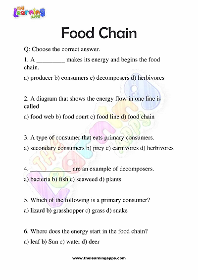 Food-Chain-Worksheets-Grade-3-Activity-7