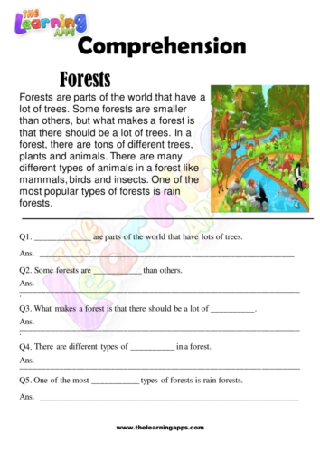 Forests Comprehension