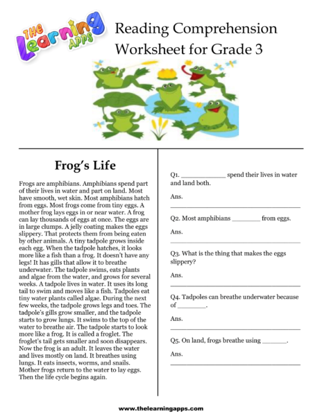 Frog's Life Comprehension Worksheet