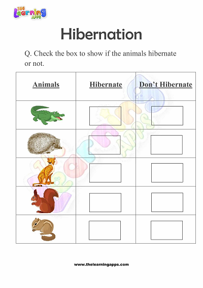 Hibernation-Worksheets-for-Grade-1-Activity-10