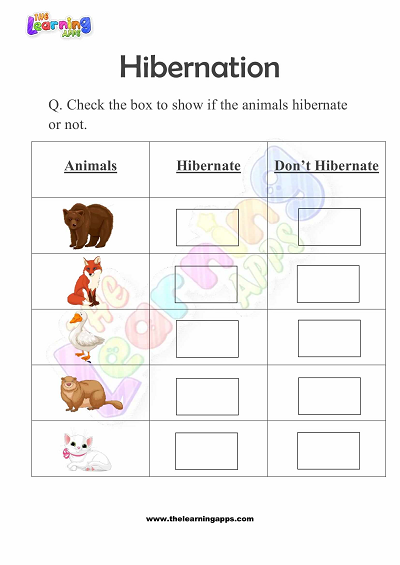 Hibernation-Worksheets-for-Grade-1-Activity-9