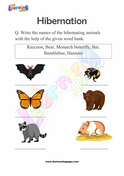 Hibernation-Worksheets-for-Grade-2-Activity-1