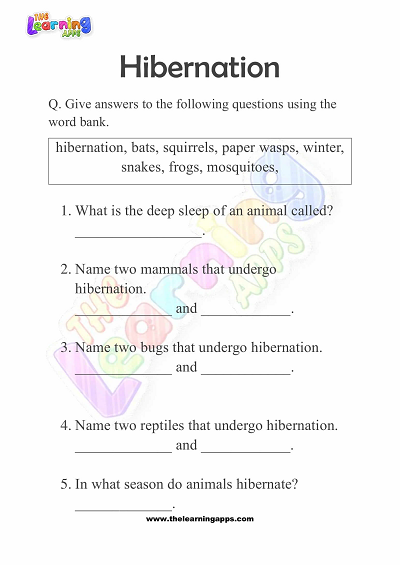 Hibernation-Worksheets-for-Grade-3-Activity-2