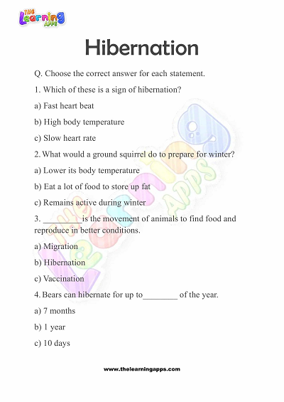 Hibernation-Worksheets-for-Grade-3-Activity-7