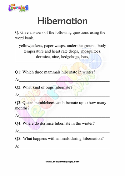 Hibernation-Worksheets-for-Grade-3-Activity-9
