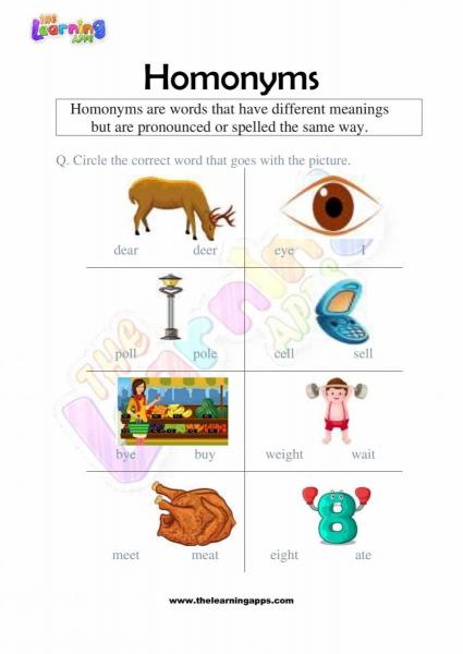 Homonyms-Worksheets-Grade-2-Activity-1