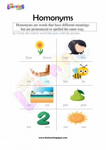 Homonyms-Worksheets-Grade-2-Activity-2