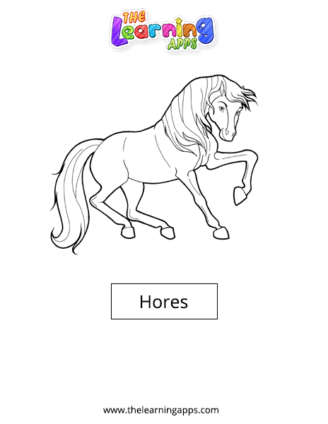 Άλογο