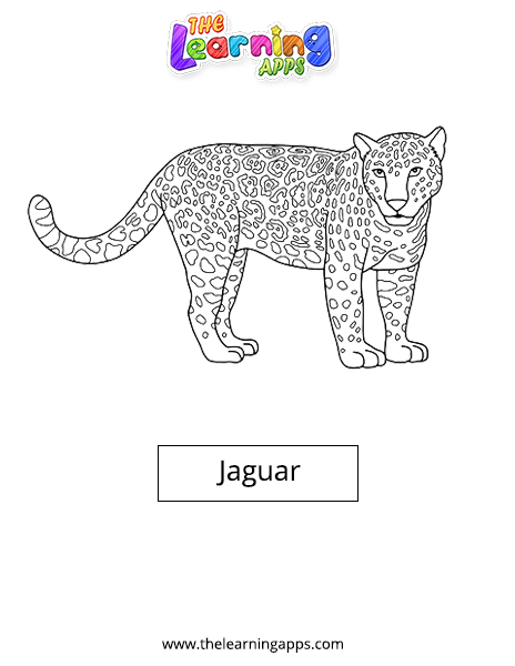 Η Jaguar 