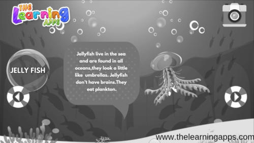 Jelly fish-1