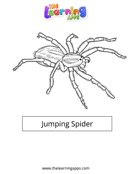 Прыжки паук