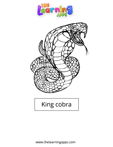 Raja kobra