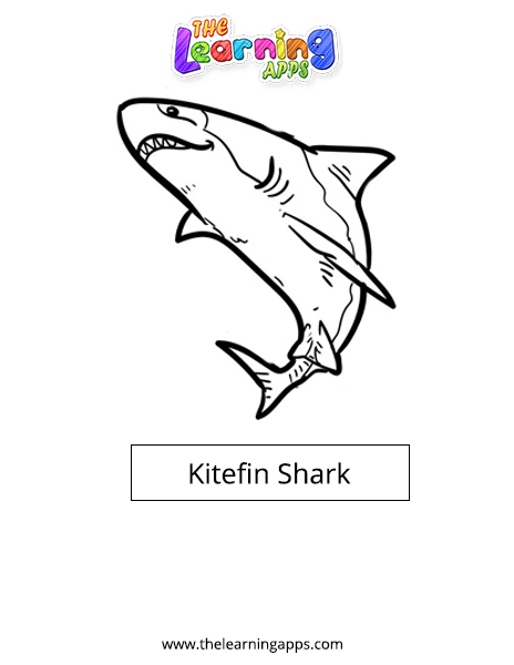 Кайтфиновая акула