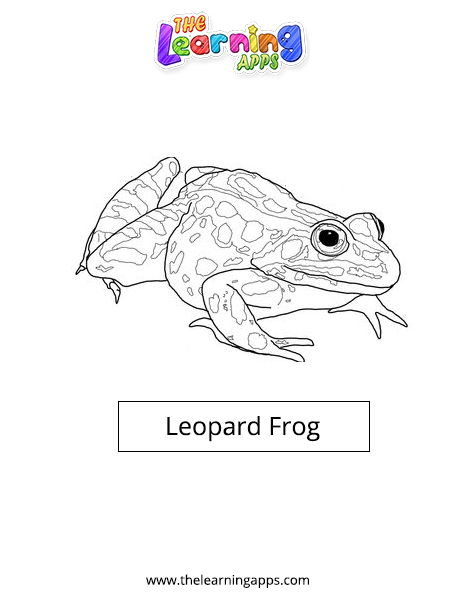 Леопардовая лягушка