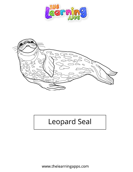 Морской леопард