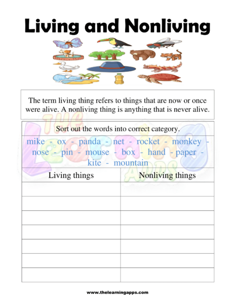 Living and nonliving 2