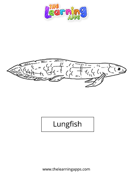 двоякодышащая рыба
